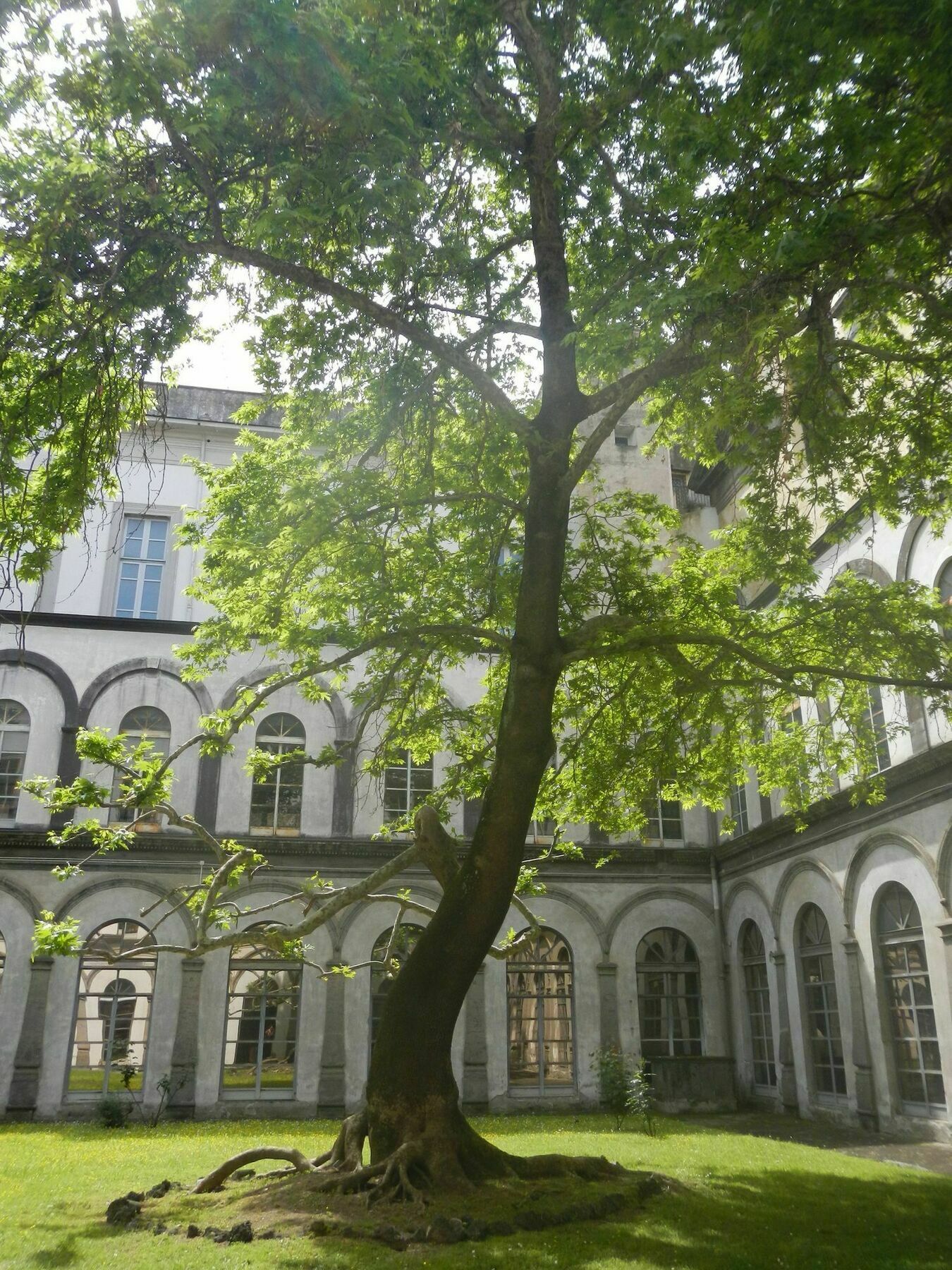 Affittacamere Meublè Santa Chiara